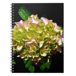 Caderno Espiral Hídranga floral verde-rosa-esverdeado Elegante