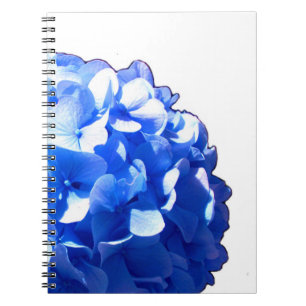 Caderno Espiral Hídrangas azuis-florais elegantes-de-cobalto