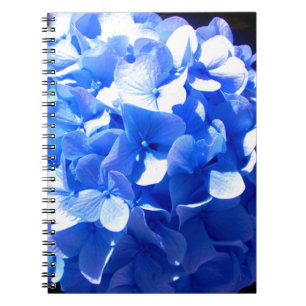 Caderno Espiral Hídrangas azuis-florais elegantes-de-cobalto