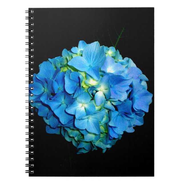 Caderno Espiral Hídrangas florais de flores azuis elegantes (Frente)