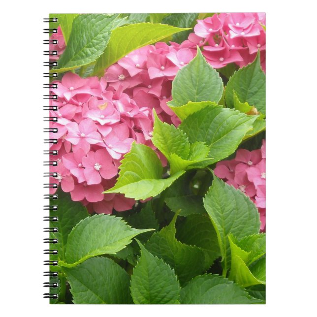 Caderno Espiral Hidrangas Rosa Profundo (Frente)