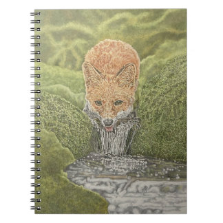 Caderno Espiral Hidratar
