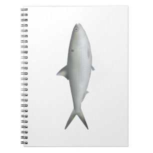 Caderno Espiral Hilsa Shad