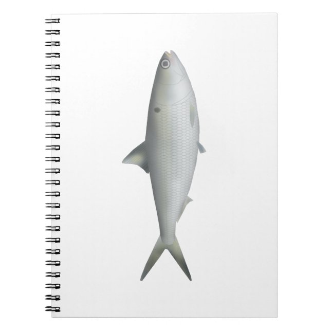 Caderno Espiral Hilsa Shad (Frente)