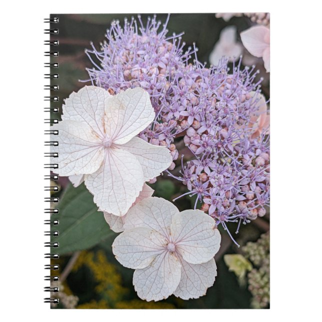 Caderno Espiral Hipodistas Brancas Flores Aspera Floral (Frente)