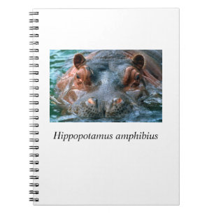 Caderno Espiral Hippo#1