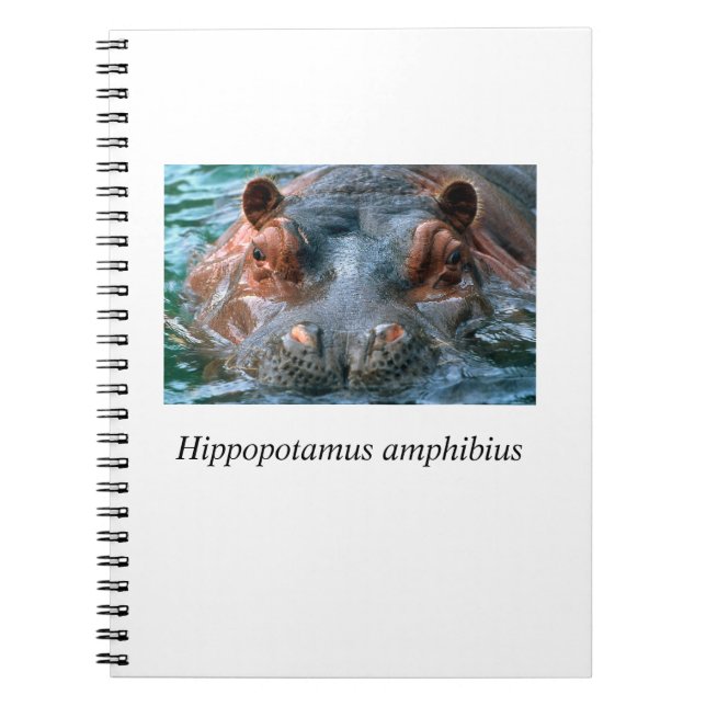 Caderno Espiral Hippo#1 (Frente)