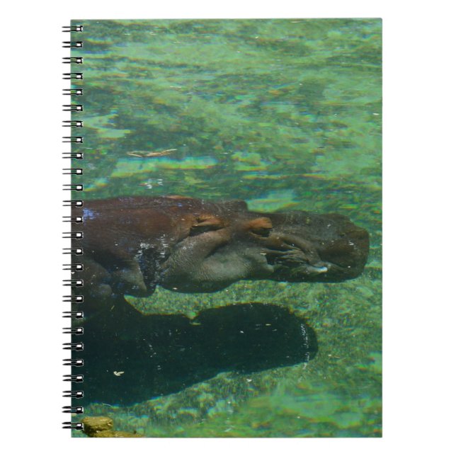 Caderno Espiral Hippo Grande Nadando Sob Água, (Frente)