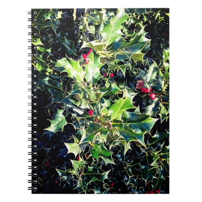 Caderno Espiral Holly, bagas vermelhas (Frente)