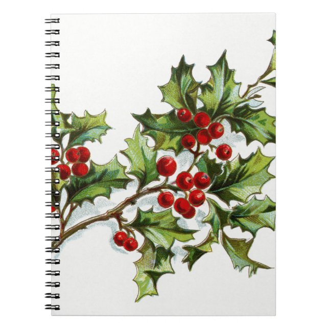 Caderno Espiral HollyBerries20150801 (Frente)