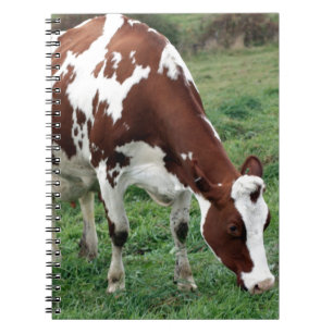 Caderno Espiral Holstein vermelho e branco que pasta