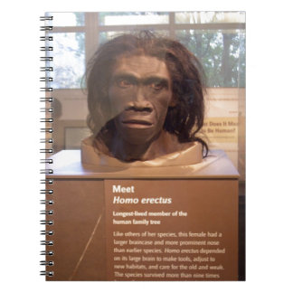 Caderno Espiral Homo erectus; exibição do museu