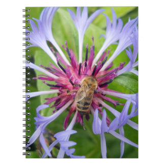 Caderno Espiral Honeybee Mandala