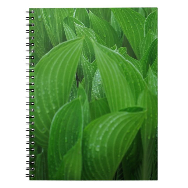 Caderno Espiral Hosta sai com o notebook Raindrops (Frente)