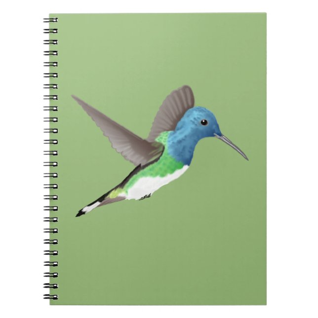 Caderno Espiral Hovering Jacobin Hummingbird - transparente. (Frente)