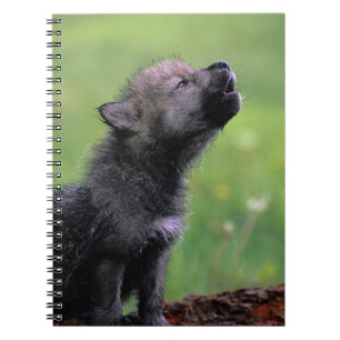 Caderno Espiral Howling Wolf Cub