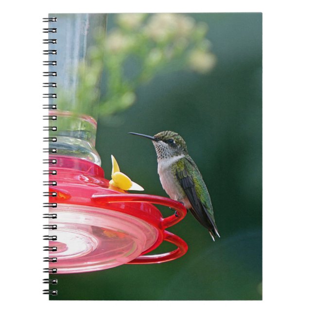 Caderno Espiral Hummingbird (Frente)