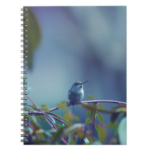 Caderno Espiral Hummingbird 5738