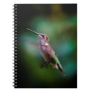 Caderno Espiral Hummingbird com garganta de rubi - Fotografia orig