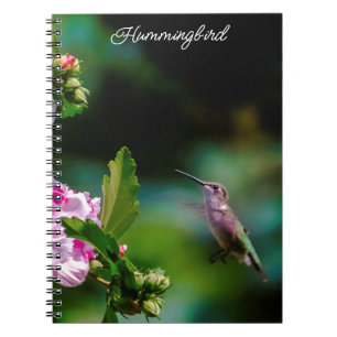 Caderno Espiral Hummingbird com garganta de rubi - Fotografia orig