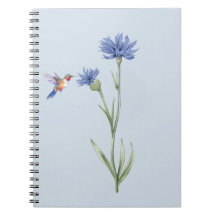 Hummingbird e Cornflower