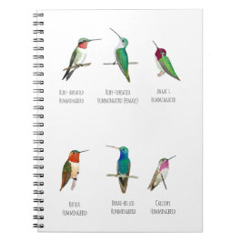 Caderno Espiral Hummingbird norte-americano