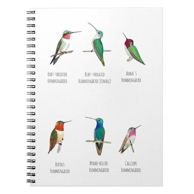 Caderno Espiral Hummingbird norte-americano (Frente)