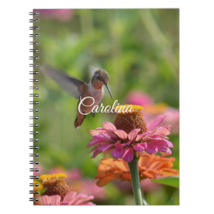 Caderno Espiral Hummingbird Zinnia Flores