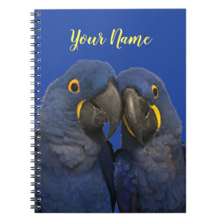 Caderno Espiral Hyacinth Macaw Parrot Bird Rare Blue