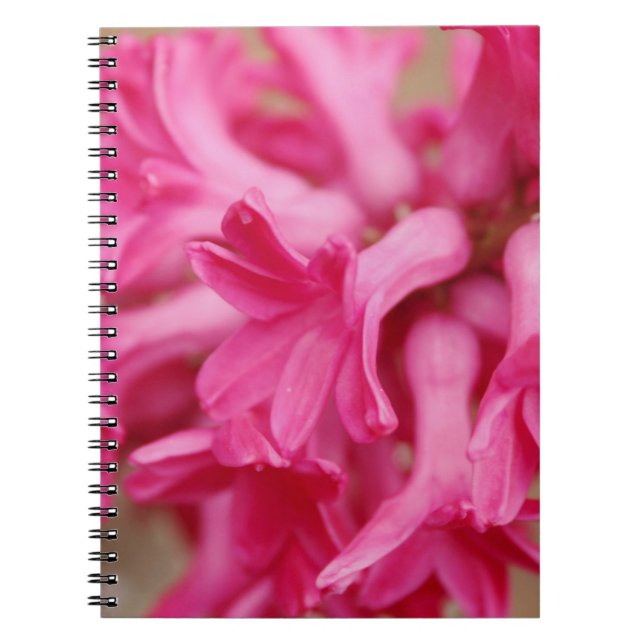 Caderno Espiral Hyacinth Pink (Frente)