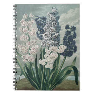 Caderno Espiral Hyacinths (1807) - Exquisite Vintage Botânica