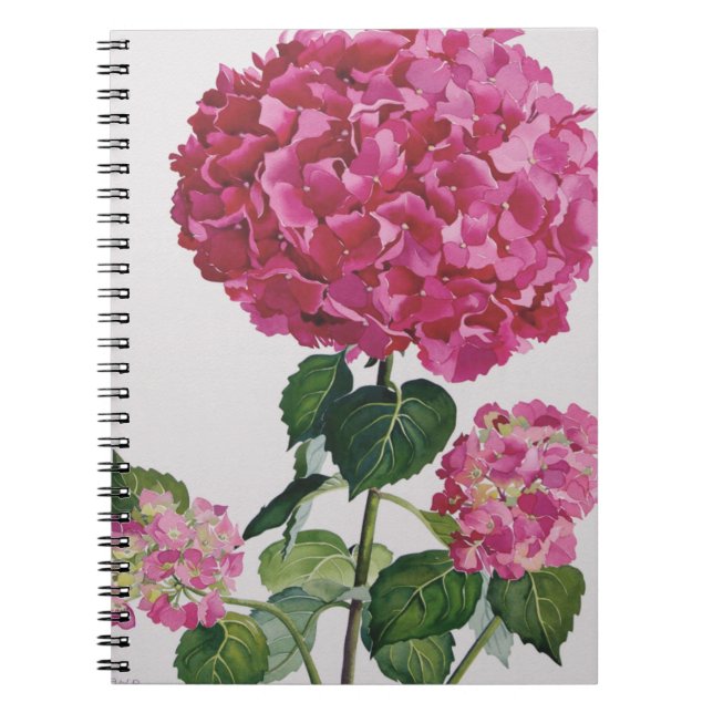 Caderno Espiral Hydrangea (Frente)