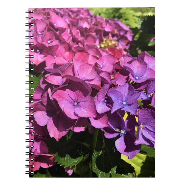 Caderno Espiral Hydrangeas (Frente)