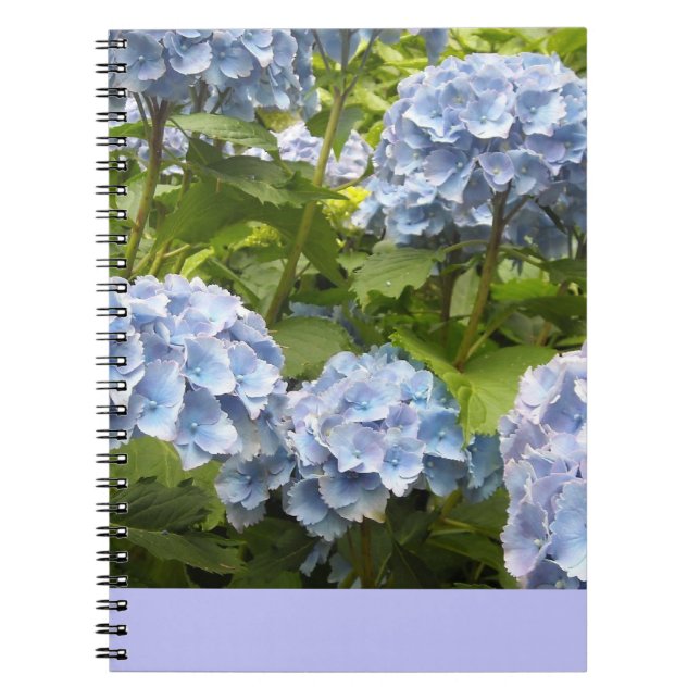 Caderno Espiral Hydrangeas Azul Profundo (Frente)