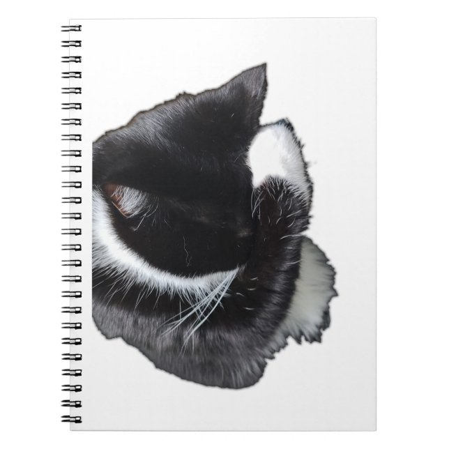 Caderno Espiral I Can't Even Right Meow (Frente)