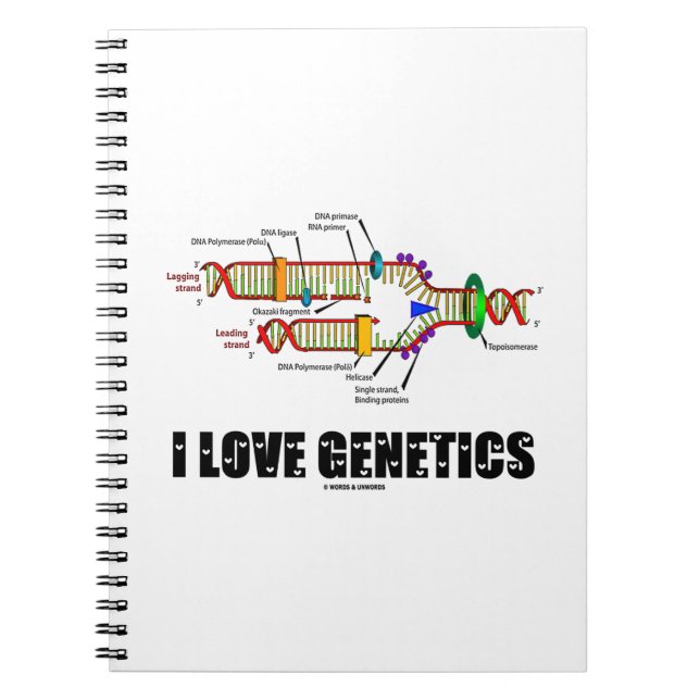 Caderno Espiral I Love Genetics (Replicação de DNA) (Frente)