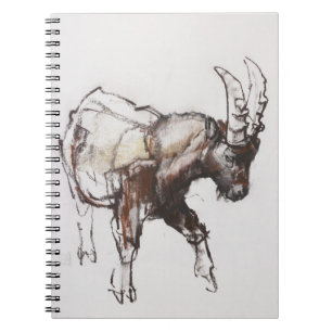 Caderno Espiral Íbex novo Gran Paradiso 2005