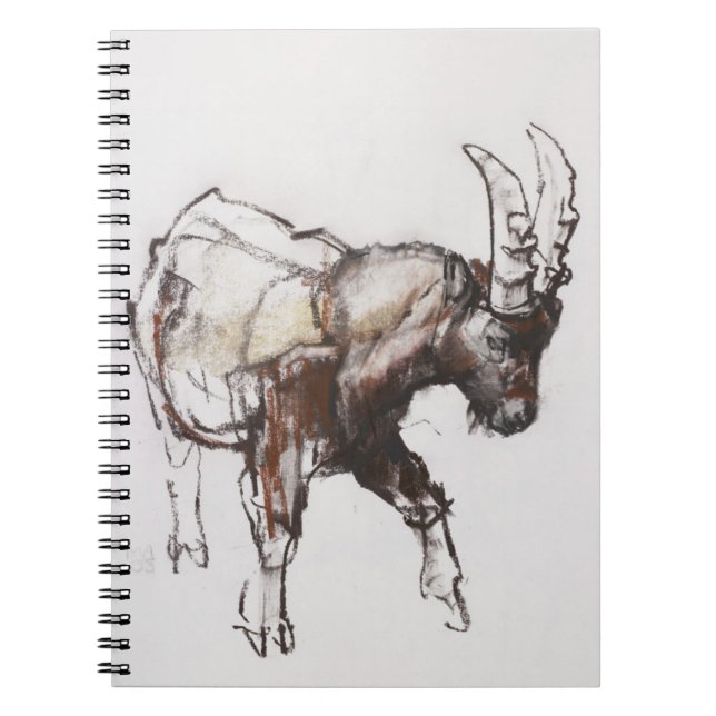 Caderno Espiral Íbex novo Gran Paradiso 2005 (Frente)