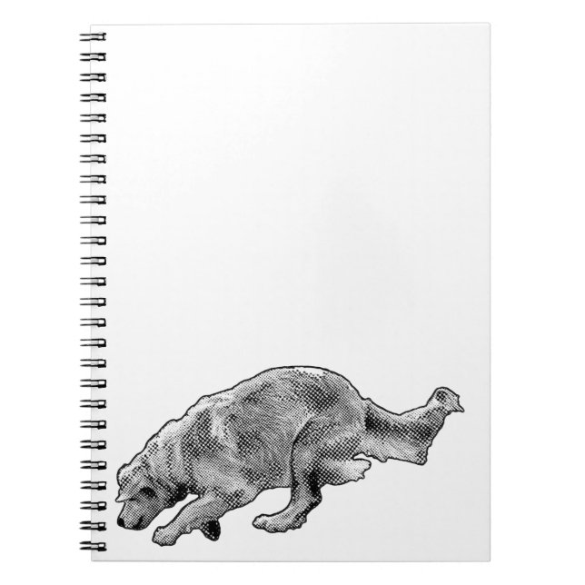 Caderno Espiral Ideias com um corredor especial (Frente)