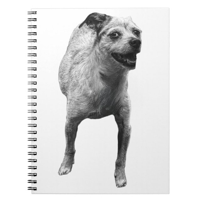 Caderno Espiral Ideias Com Um Saco (Frente)