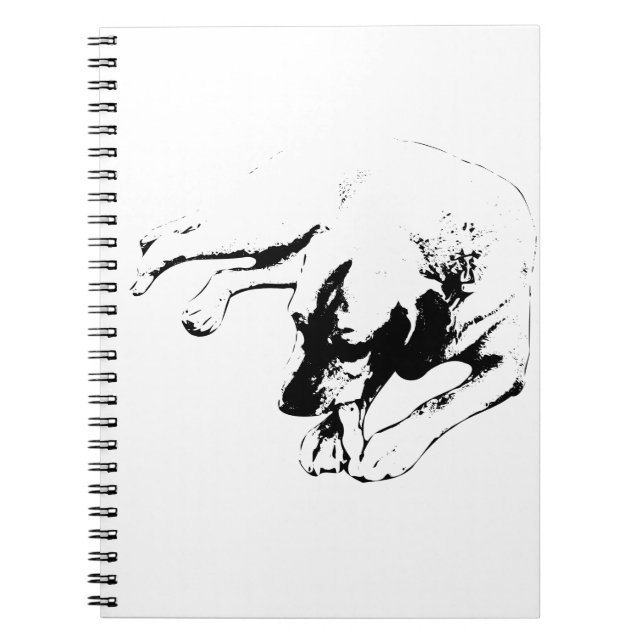 Caderno Espiral Ideias para seguir em frente (Frente)