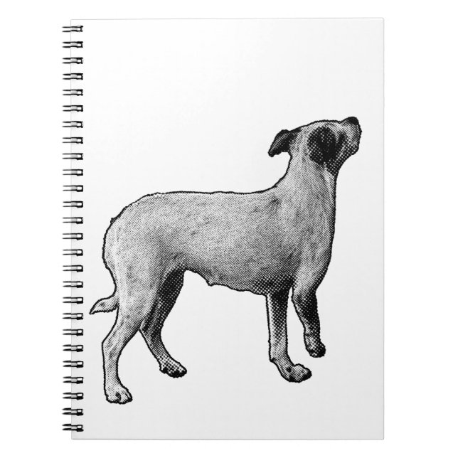 Caderno Espiral Ideias Procurando (Frente)