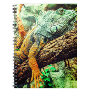 Caderno Espiral Iguana