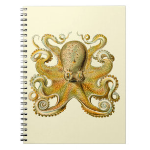Caderno Espiral Ilustração antiga de polvo monstro marinho