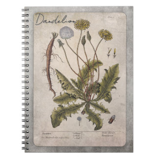 Caderno Espiral Ilustração Botânica Vintage Dandelion