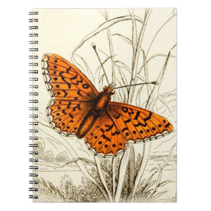 Caderno Espiral Ilustração da borboleta de safra, laranja e pret