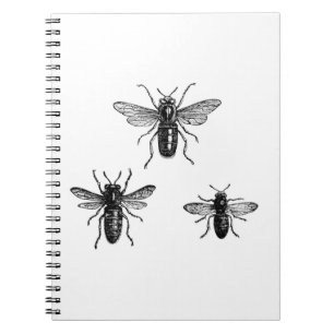 Caderno Espiral Ilustração da Rainha Abelha e Abelhas Operárias Vi