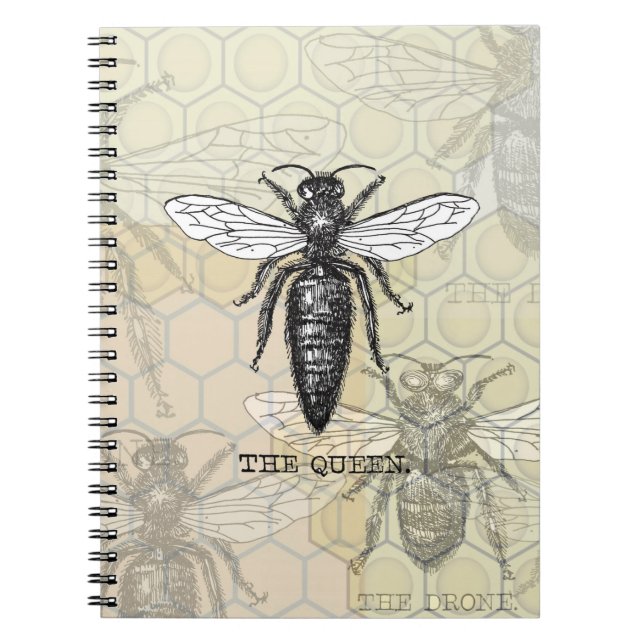 Caderno Espiral Ilustração de Abelha Rainha Inseto Bug (Frente)