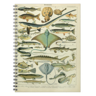 Caderno Espiral Ilustração de Poissons Vintage
