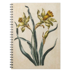 Caderno Espiral Ilustração do Daffodil Floral Botânico Vintage